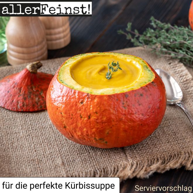 Premium Pumpkin Spice - Hochwertige Kürbis Gewürzzubereitung für Pumpkin Pie, Kürbissuppe, Ofenkürbis und vieles mehr - 100 g