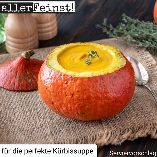 Kürbis-Gewürz-Set | Umami und Kürbis Gewürzzubereitung - Power für deine Küche