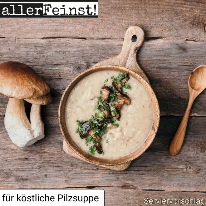 100% Steinpilzpulver - Steinpilz gemahlen - 1a Premium Gourmet Gewürz - 30g